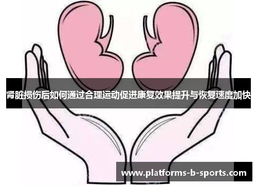 肾脏损伤后如何通过合理运动促进康复效果提升与恢复速度加快