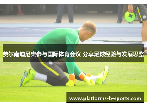 费尔南迪尼奥参与国际体育会议 分享足球经验与发展思路