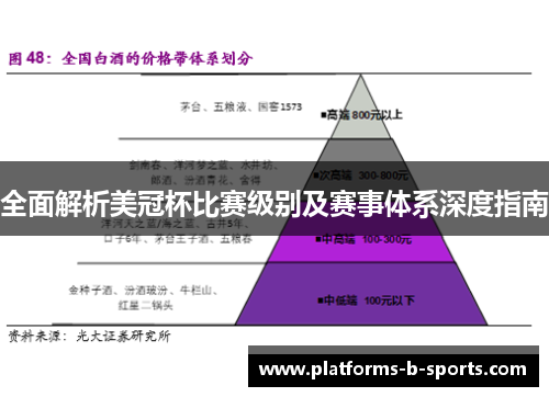 全面解析美冠杯比赛级别及赛事体系深度指南