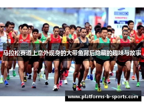马拉松赛道上意外现身的大带鱼背后隐藏的趣味与故事