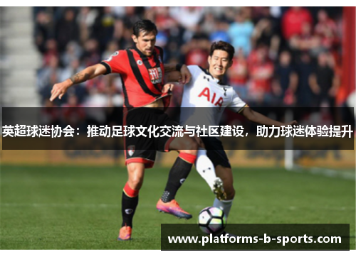 英超球迷协会：推动足球文化交流与社区建设，助力球迷体验提升
